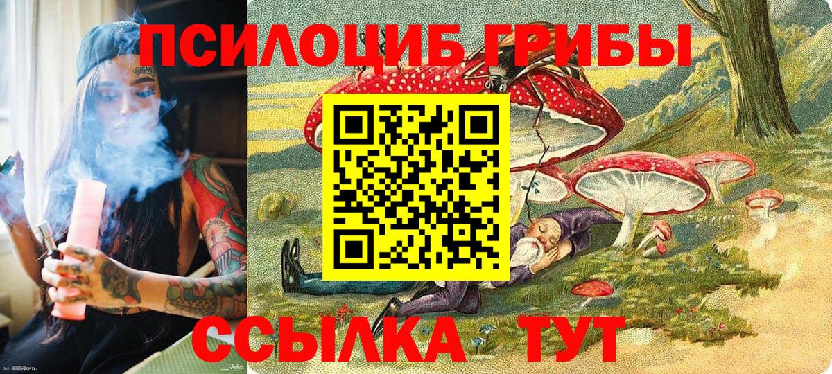 Псилоцибиновые грибы прущие грибы  Галлюциногенные грибы Psilocybe  Вход с VPN  Екатеринбург 